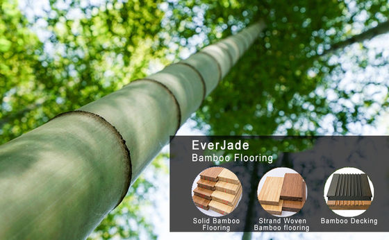 Add a Touch of Modern Elegance with Charcoal Design Style Eco Forest Bamboo Flooring