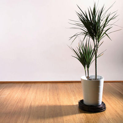 14mm Extra Wide Engineered Stranded Bamboo Parquet Flooring with Varnish from Germany