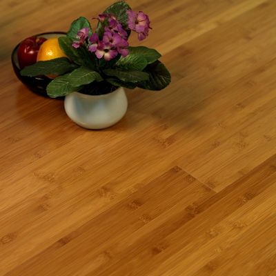 Modern Solid Bamboo Floor For Popular Long Wood Plank Flooring