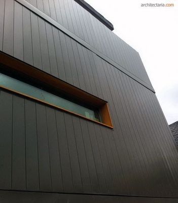 Customized Color WPC Extrusion Fluted Exterior Wall Panel for Modern Outdoor Cladding