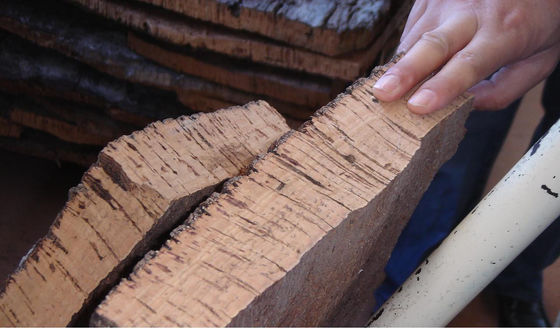Custom Wood Floor Solution 4mm 5mm Portugal Cork Flooring Tiles with Onsite Training